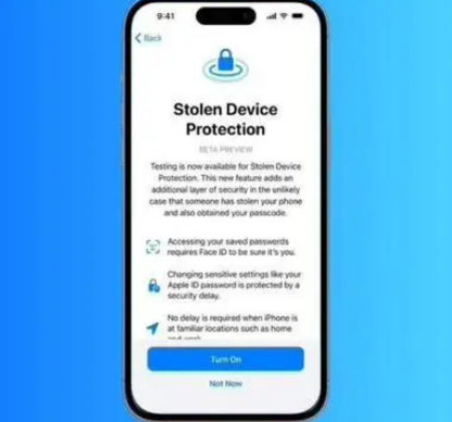 陆河苹果授权维修店分享被盗设备保护功能开启方法 