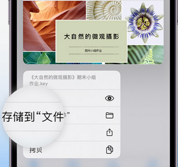 陆河apple维修中心分享iPhone文件应用中存储和找到下载文件