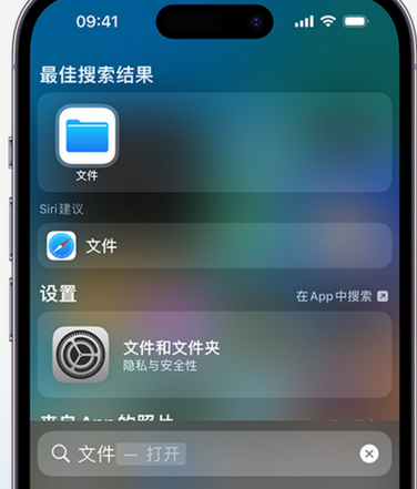 陆河apple维修中心分享iPhone文件应用中存储和找到下载文件