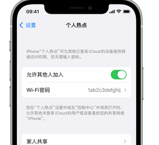 陆河apple服务站点分享iPhone上个人热点丢失了怎么办 