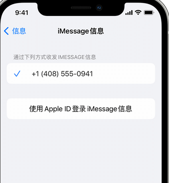 陆河apple维修iPhone上无法正常发送iMessage信息 