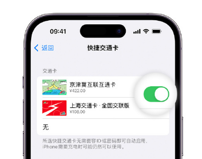 陆河apple维修点分享iPhone上更换Apple Pay快捷交通卡手绘卡面 