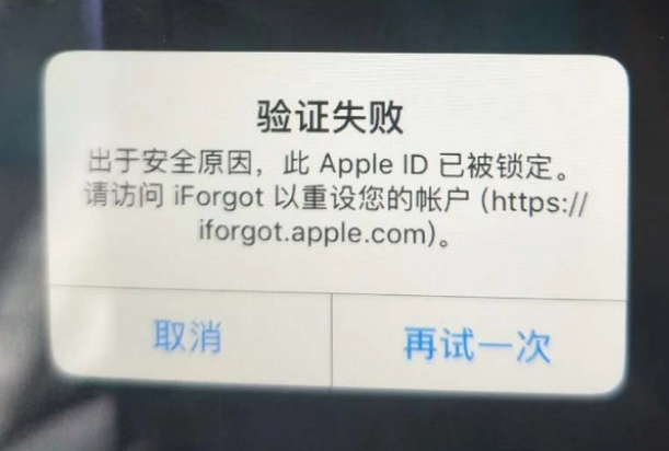 陆河iPhone维修分享iPhone上正常登录或使用AppleID怎么办 