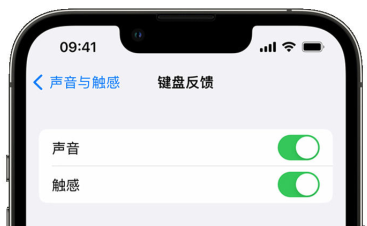 陆河苹果手机维修分享iPhone 14触感键盘使用方法 