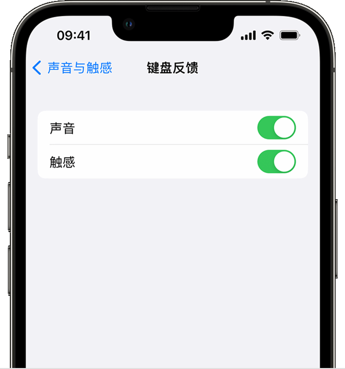 陆河苹果14维修店分享如何在 iPhone 14 机型中使用触感键盘 