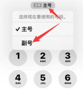 陆河苹果14维修店分享iPhone 14 Pro Max使用副卡打电话的方法 