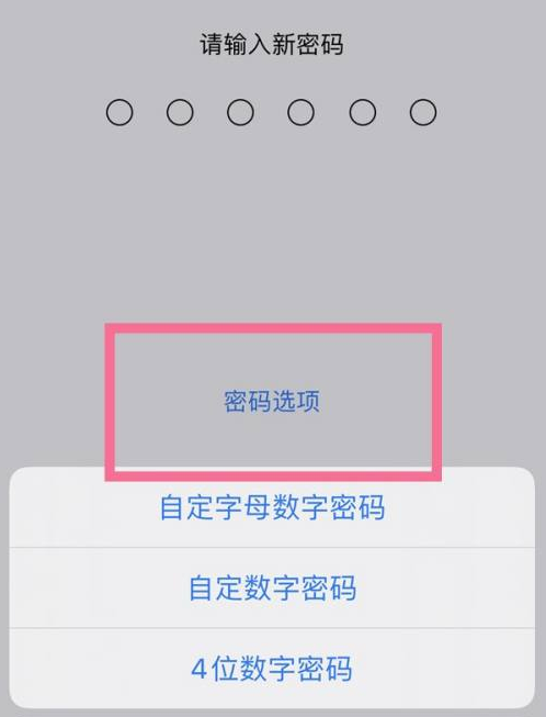 陆河苹果14维修分享iPhone 14plus设置密码的方法 