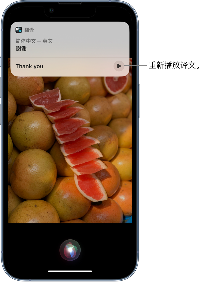 陆河苹果14维修分享 iPhone 14 机型中使用 Siri：了解 Siri 能帮你做什么 