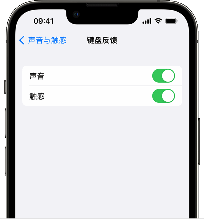 陆河苹果14维修分享iPhone 14 系列机型如何开启键盘声音或触感反馈 
