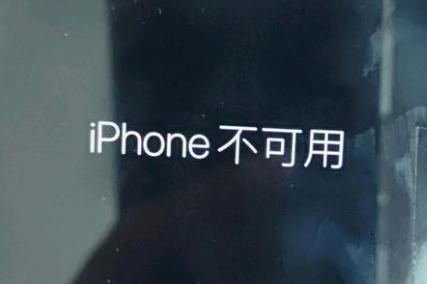 陆河苹果服务网点分享锁屏界面显示“iPhone 不可用”如何解决 