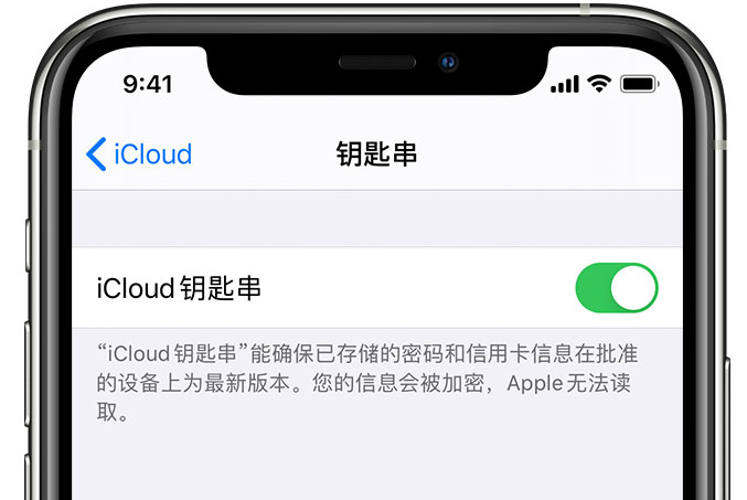 陆河苹果手机维修分享在 iPhone 上开启 iCloud 钥匙串之后会储存哪些信息 