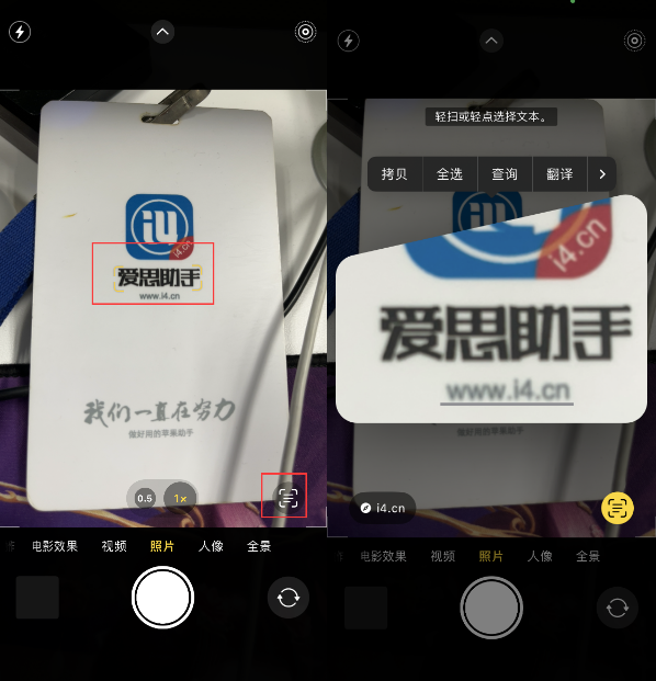 陆河苹果手机维修分享升级iOS 16后如何通过相机翻译文本 