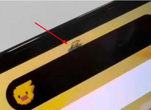 陆河苹果14维修分享iPhone 14 Pro Max灵动岛怎么养宠物 