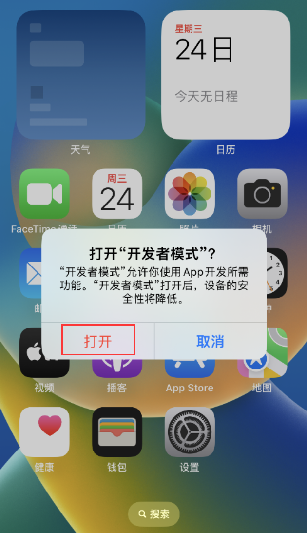 陆河苹果手机维修分享如何打开开发者模式 