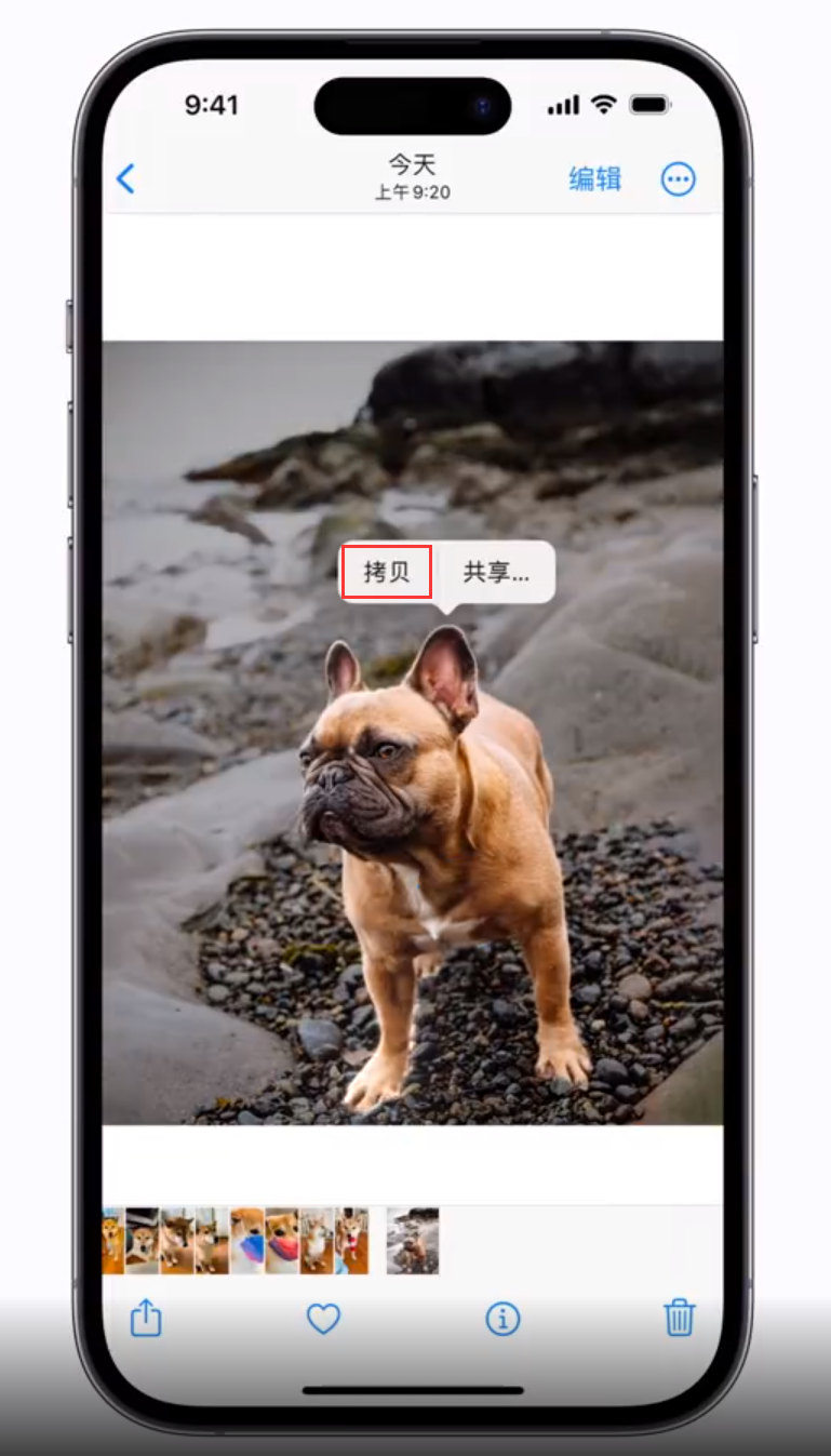 陆河苹果手机维修分享 iOS 16 自带一键抠图功能 