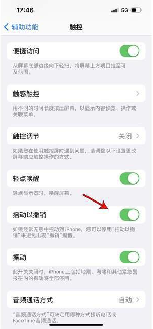 陆河苹果手机维修分享iPhone手机如何设置摇一摇删除文字 