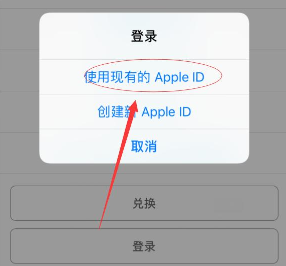 陆河苹果手机维修分享两台iPhone设备可以同时登录一个Apple ID吗 