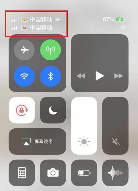 陆河苹果手机维修分享为 iPhone 12 双卡设置标签 