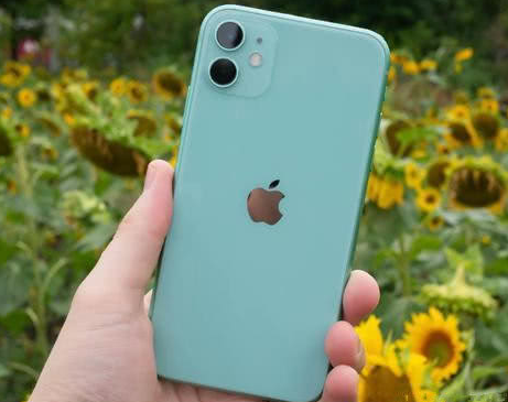 陆河苹果维修点分享iPhone 11锁屏密码认知与使用科普 